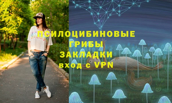 спайс Бородино