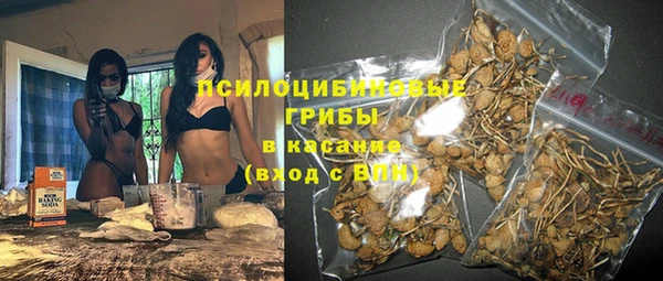 тгк Бронницы