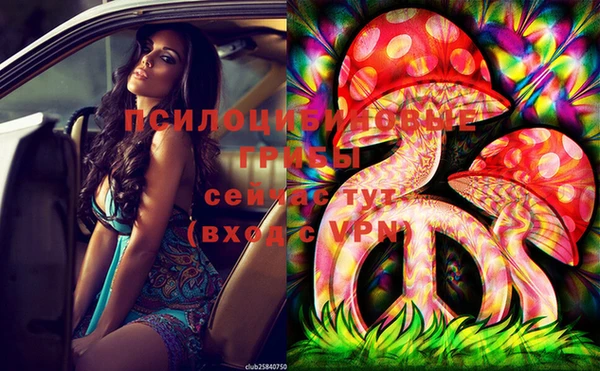 спайс Бородино