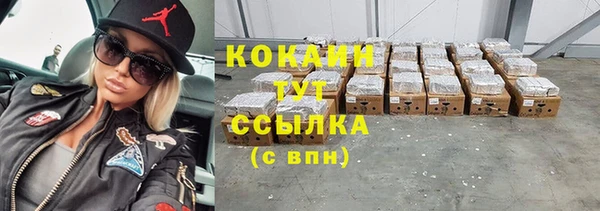 спайс Бородино